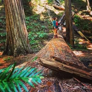 Meet your Posher, Page